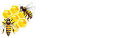 Logo for Aigency